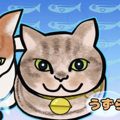 サッカー好き、猫好きの夜勤おじさんです!よろしくお願いします！家には3匹の猫ちゃんがいます！名前は、うずら。家での愛称は、うじゅです！男の子。8歳です!去勢済み。
次は、ちゃめ。愛称は、ちゃめちんです！8歳です!去勢済み。うずらとは兄弟です!
次は、ちくわ。愛称は、ちーちゃんです！5歳です!男の子。去勢済み。よろしく