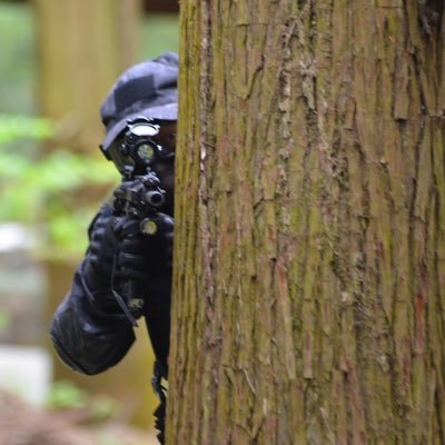 最近モンハンワイルズかDBDかapexやってます🎮アニメの影響でギター始めました🎸サバゲー行きたい_(┐「ε:)_