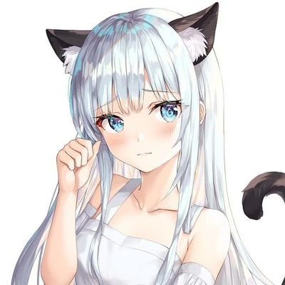 SnowCrystal274's profile picture. 