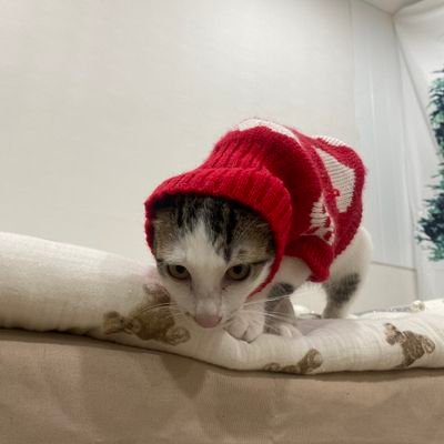 PmPmsp48448623's profile picture. 