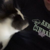 ゆーくんさぶ@アナニーだいすき (@ananiilike) 's Twitter Profile