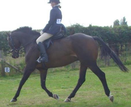 AliceGilmour's profile picture. 