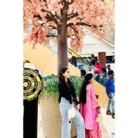 Simran Vajpayi (@vajpayi_simran) 's Twitter Profile