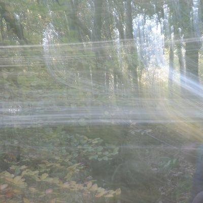 VictoriaWren7's profile picture. PhD researcher @Chyme_exe; @RuskinMill