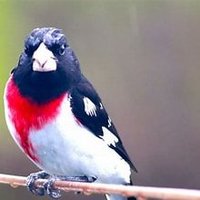 UnCensoredCinder🇺🇸 (@censoredcinder3) 's Twitter Profile