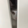 bokuharuki_'s profile picture. 僕はるき！探偵さ🕵️