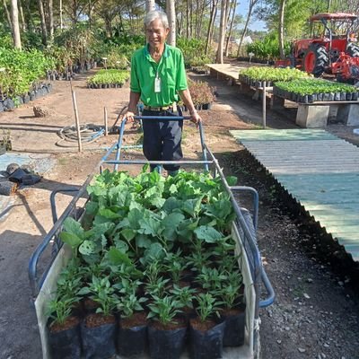 swn20545196's profile picture. ยากกินน้ำควยครับ