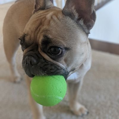 bagofsongs's profile picture. TS