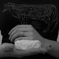 EmmaPattersonTaylor (@emma_edinburgh) 's Twitter Profile