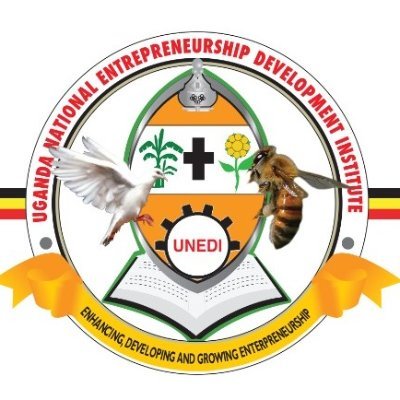 UNEDI is Africa’s NO 1 apparatus in helping organizations and individuals that are fighting joblessness, removing poverty and ending hunger