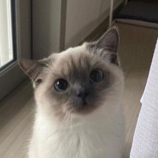 FiFa_040504's profile picture. ~แอคไว้หวีดด้อมไทยคับ
ฝากตัวด้วยนะคะ~😊