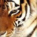 フライパン (@ssiw98gjrm8huvw) Twitter profile photo フライパン (@ssiw98gjrm8huvw) Twitter profile photo
