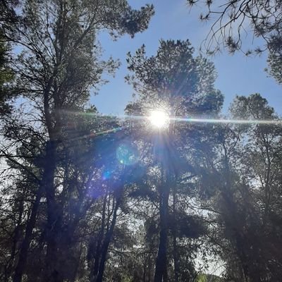 saaozca's profile picture. Ser feliz hoy.
Defendiendo lo público #SanidadPública #educaciónpública #sonrisas #medioambiente #justiciasocial