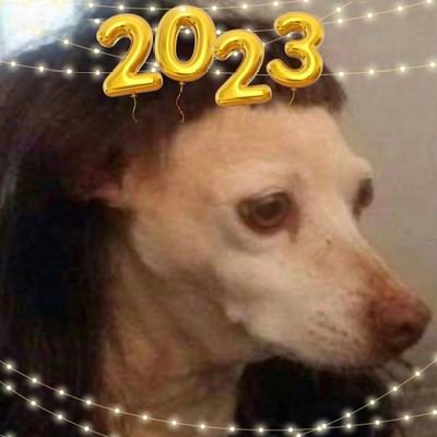 thedreamsbook's profile picture. 