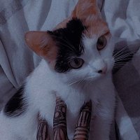 Maimuna Hassan (@maimunahassan00) 's Twitter Profile