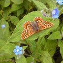 M.Reyes Peña - @mreyespp - Twitter