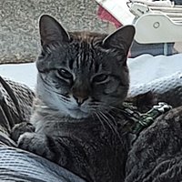 Jorgemdz (@jorgemdz125) 's Twitter Profile