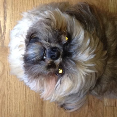 213Kraz's profile picture. 