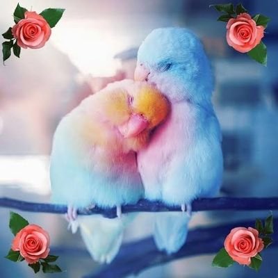 akay_series's profile picture. i am