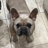 Syl (@librarianmcb) 's Twitter Profile