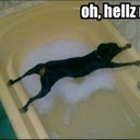 Brian Keel - @keelomonster - Twitter