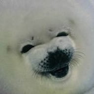 劉さんのプロフィール画像
