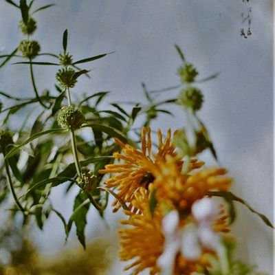 らいくんさんのプロフィール画像