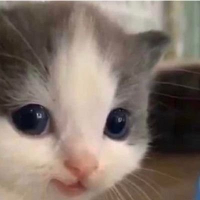 Ignaaaa32's profile picture. 