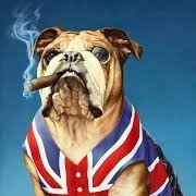 American British Bulldog(@BritUSA93) 's Twitter Profileg