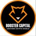 Booster Capital || AMA & Space🚀 (@boostercapital1) Twitter profile photo