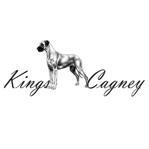 KingsCagney's profile picture. Kings Cagney manufactures handmade high quality luxury Pocket Squares and Handkerchiefs. Made In New York. Copyright © 2011 Kings Cagney