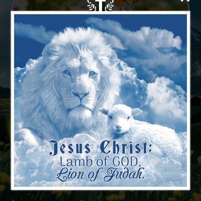 ar83461156's profile picture. 