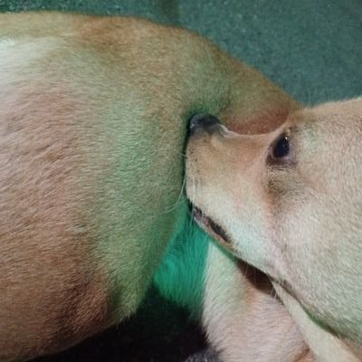 50%頭過身就過さんのプロフィール画像