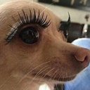 Haley Estrada - @Samandcolby35 - Twitter