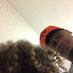 Tre Maxwell (@tre_maxwell52) Twitter profile photo Tre Maxwell (@tre_maxwell52) Twitter profile photo