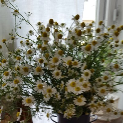 寝ても覚めてもFujii Kaze 🎵🎹 初見は、2021年紅白→即沼落ち😍初Liveはパナスタ。たまアリ参加、ホールツアーは全敗!日産スタジアム🏟️25日参戦♪😍風民の皆様、沢山の情報、映像ありがとうございます🙏 いいね、リポスト、させて頂きます。フォローも失礼します🙇♀️