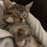 WHITNEY !? (@blaisegf) 's Twitter Profile