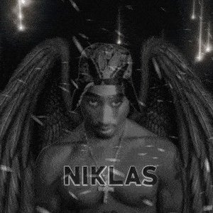 larsen_np's profile picture. "If I can't do it homie - it can't be done" 😎       
2023 - Coach for Sejr🧠🔫