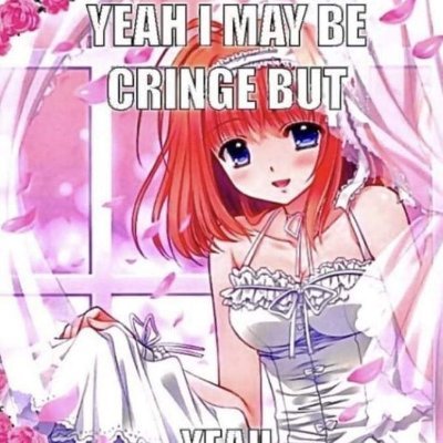 21st century digital girl
ancestral nxc quite ambient euphoric neoperreo chloral andino hardcore existencial crisis girl