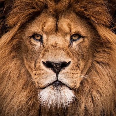 btccrypto191's profile picture. Crypto