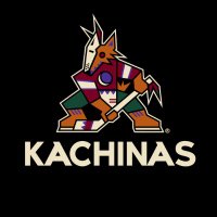 Arizona Kachinas(@arizonakachinas) 's Twitter Profile Photo