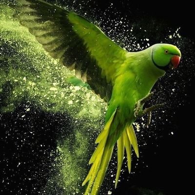 abdouab46718741's profile picture. 