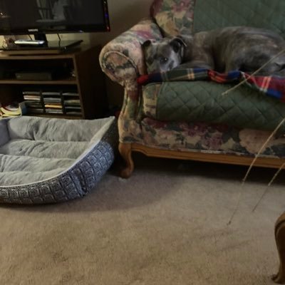 ChristaTurnell7's profile picture. Public defender, end death penalty, Epsicopal Catholic. Pro choice, pro women, married.  Truth seeking. Psychiatry kills. Never DM