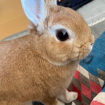 syu54090026's profile picture. 6