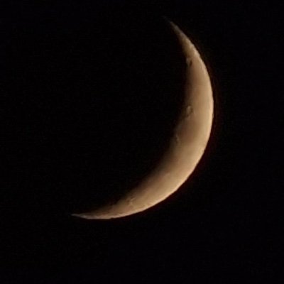 Oracleangel21's profile picture. 