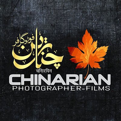 Chiphotographer Profile Picture