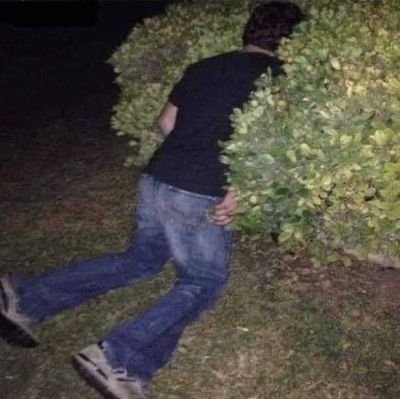 Keywelder's profile picture. Me, myself and mooses