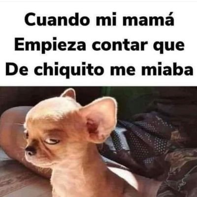 elchompiras578's profile picture. 