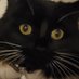 Addam (@8325gsdlk394ffh) Twitter profile photo Addam (@8325gsdlk394ffh) Twitter profile photo