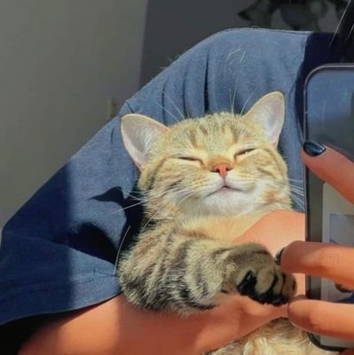 ummlkqualquerr's profile picture. 🌥20y 
• pansexual 
• NSFW 
qualquer pronome :) 
femboy? sla, as vezes

vendo conteúdos personalizados
Fotos | vídeos.. | chamadas | sexting